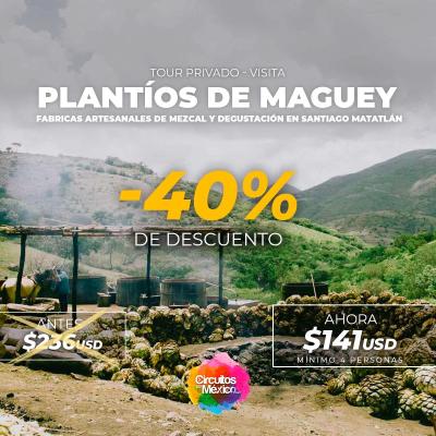 Visita Plantíos de Maguey, Fabricas Artesanales de Mezcal en Santiago Matatlán - Minimo 4 pasajeros