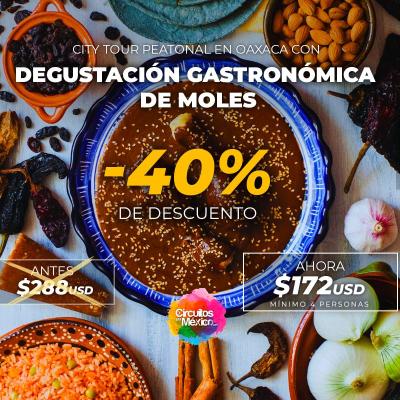 Oaxaca City Tour y Degustación Gastronómica de Moles - mínimo 4 pasajeros
