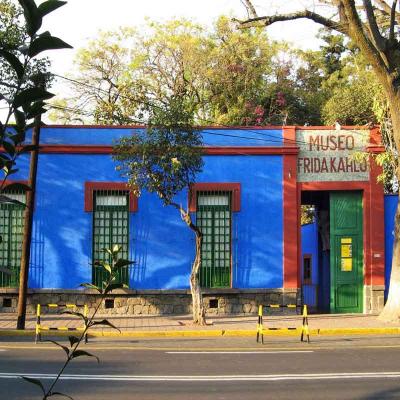 Tour de un día a Xochimilco, Barrio de Coyoacán y Museo de Frida Kahlo desde la Ciudad de México
